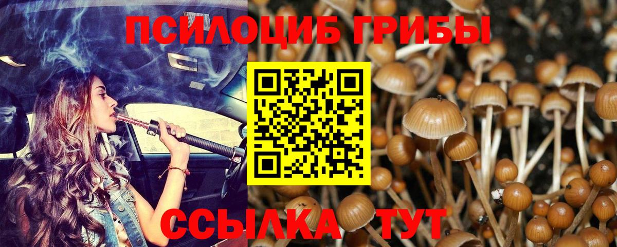 Галлюциногенные грибы Magic Shrooms  купить наркотик  Зеленокумск  Вход с VPN 